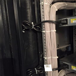 大興弱電布線工程公司的電子商務(wù)信息咨詢服務(wù)